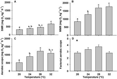 The Effects of Temperature Acclimation on Swimming Performance in the Pelagic Mahi-Mahi (Coryphaena hippurus)